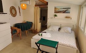 Petite Etoile De Mer - Studio Hyper Equipe A 150M D'Une Plage De Sable Fin Grande Terrasse Presqu'Ile De Charme