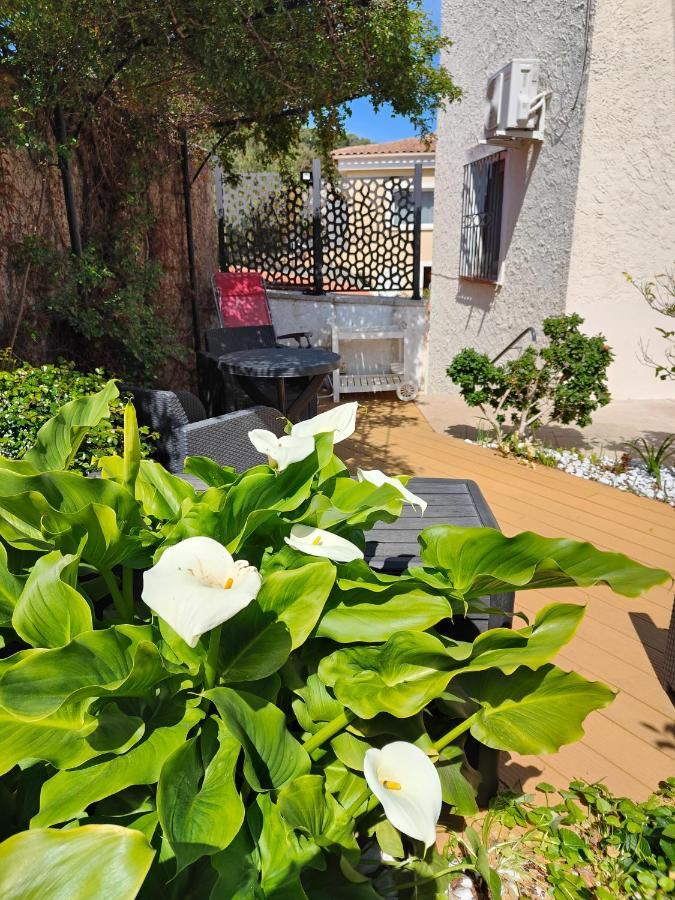 Petite Etoile de Mer: Beachfront Studio with Terrace Saint-Mandrier-sur-Mer Exterior photo